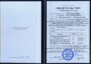 Главная